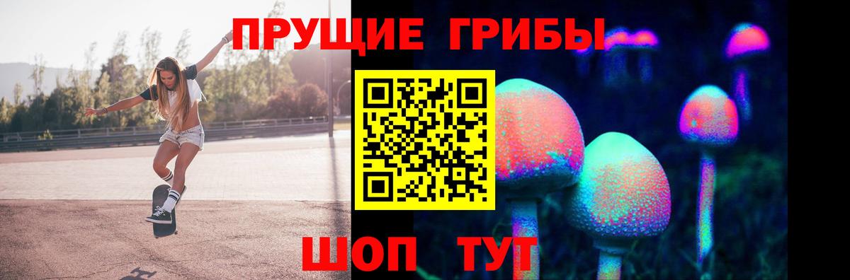 Псилоцибиновые грибы мицелий Балтийск