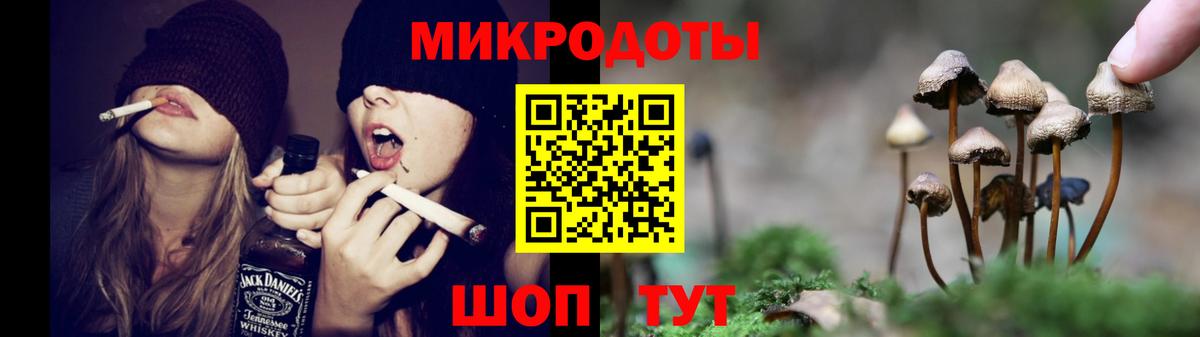 Балтийск  Галлюциногенные грибы MAGIC MUSHROOMS  Вход с VPN 