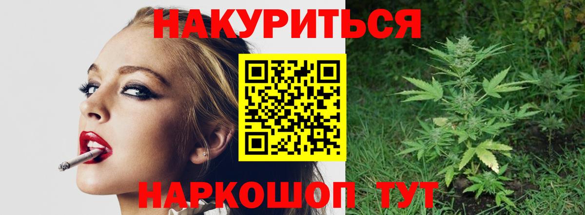 Конопля семена Балтийск